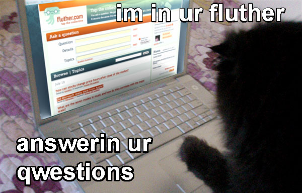 LOLCats Bacio